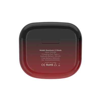 Quantum Earbuds